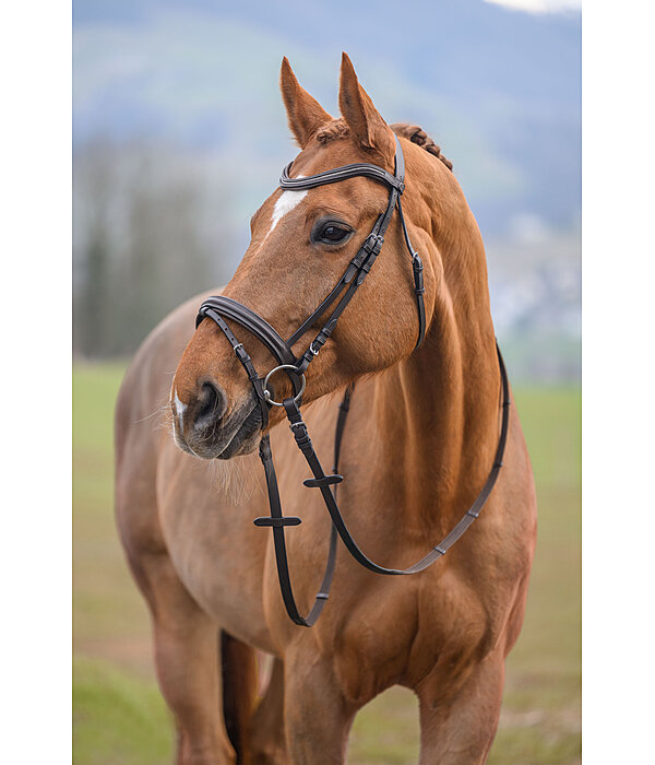 Bridon  Beauty