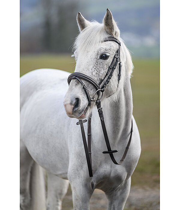 Bridon  Beauty