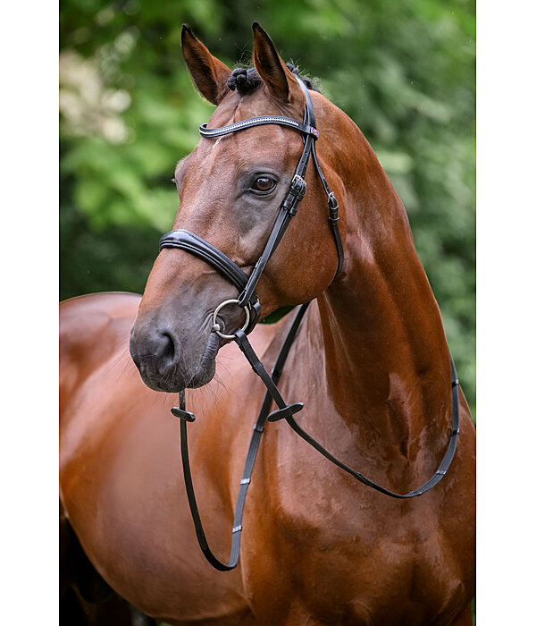 Bridon avec boucle de noseband amovible  Mirissa