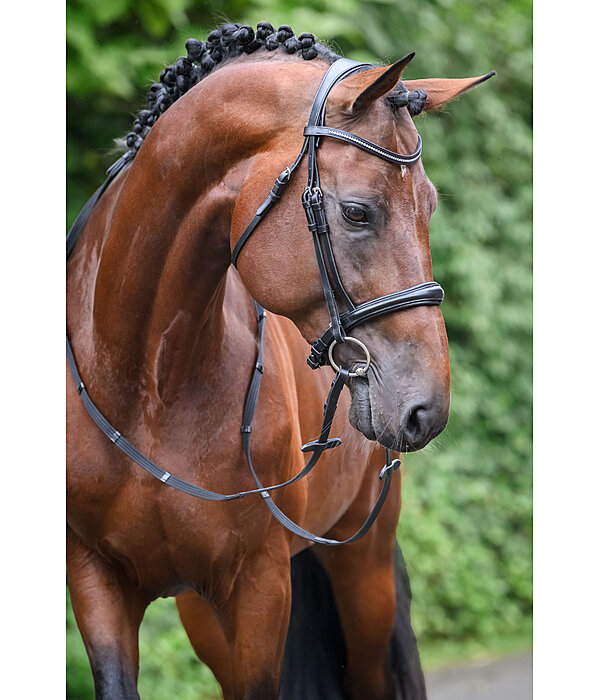 Bridon avec boucle de noseband amovible  Mirissa