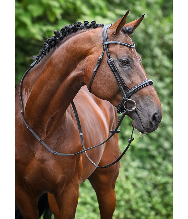 Bridon avec boucle de noseband amovible  Mirissa