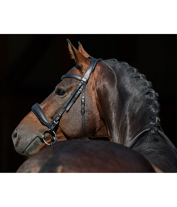 Muserolle sudoise en cuir gras avec noseband et boucle amovible  Mix & Match PRO