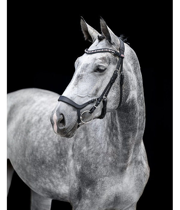 Muserolle en cuir  Mix & Match Revolution