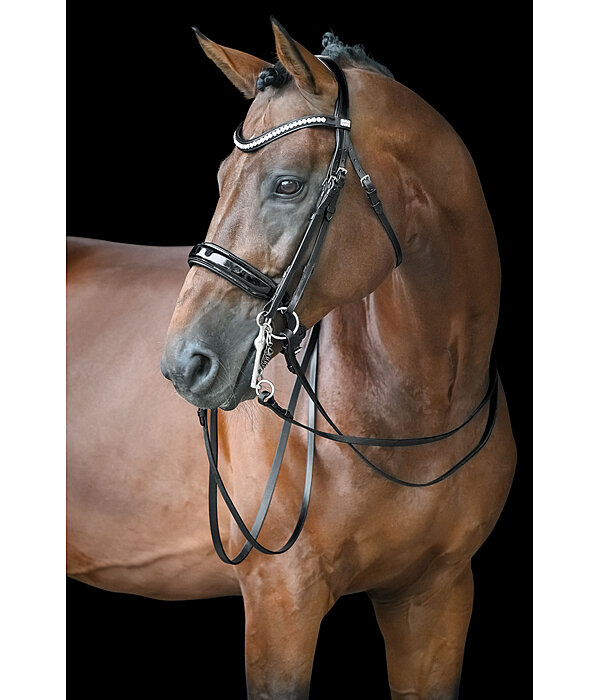 Bride  Dressage II