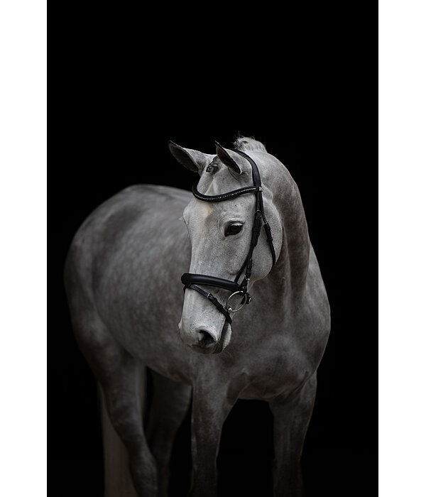 Bridon  Midnight
