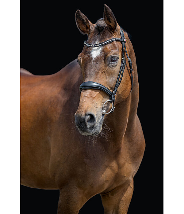 Bridon avec noseband amovible  Alaska