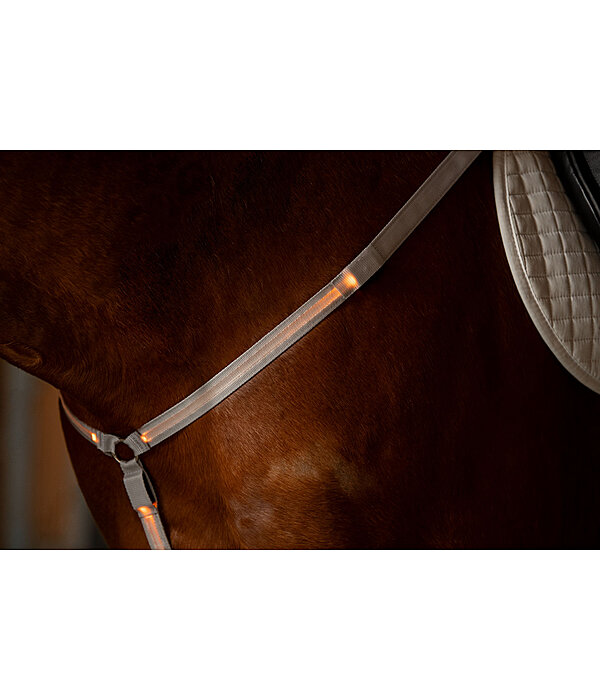 Collier de chasse LED  Loom