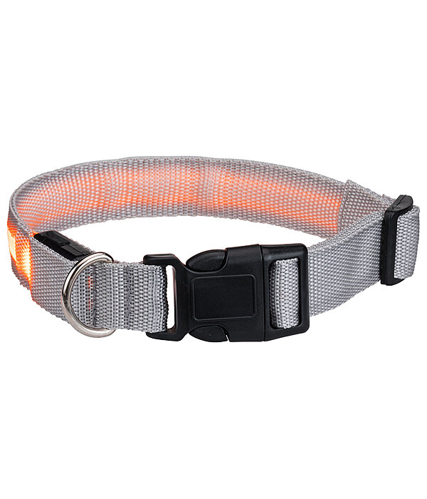 Collier pour chien LED  Loom