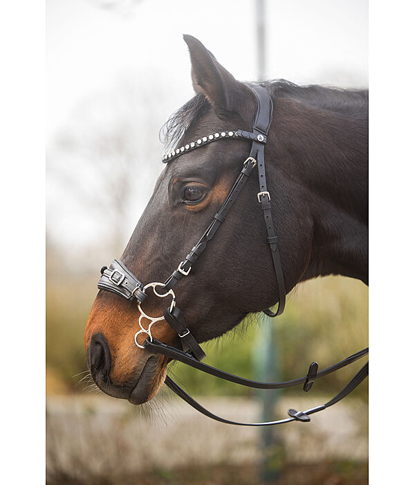 Bridon sans embouchure