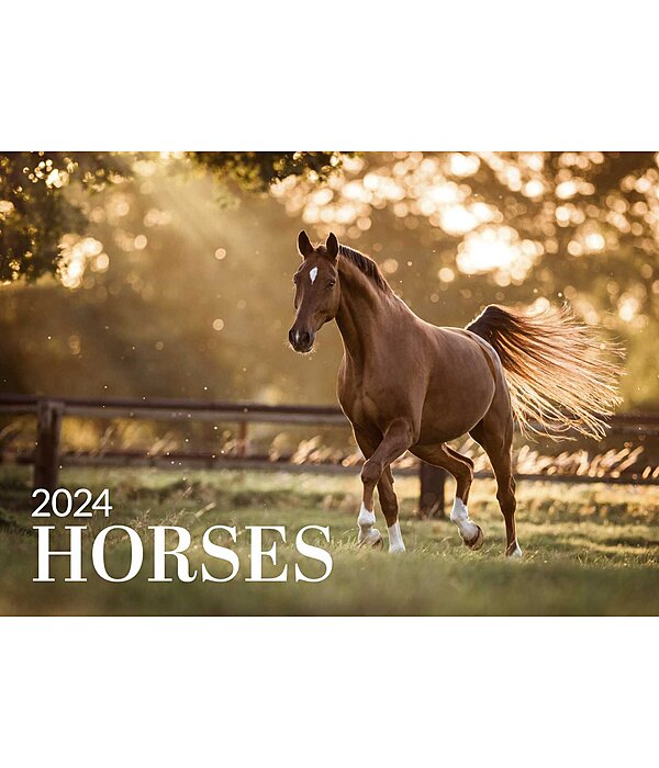 Calendriers 2025 Chevaux