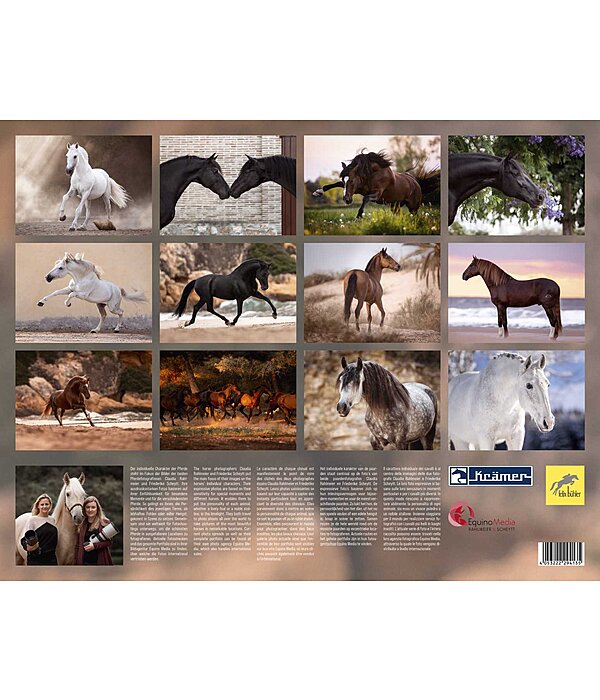 Minis calendrier 2024 - Cadeaux - Kramer Paardensport