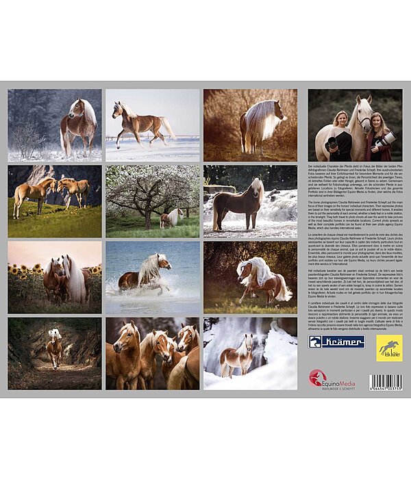 Calendrier Haflinger 2025