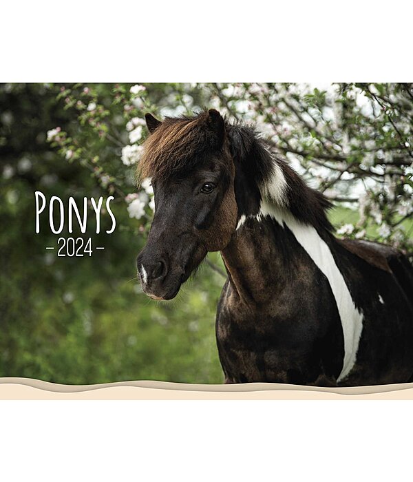 Calendrier 2025 - Poneys