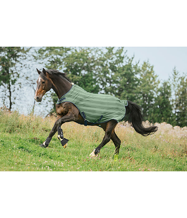 Chemise de marcheur anti-mouches  Economy Light
