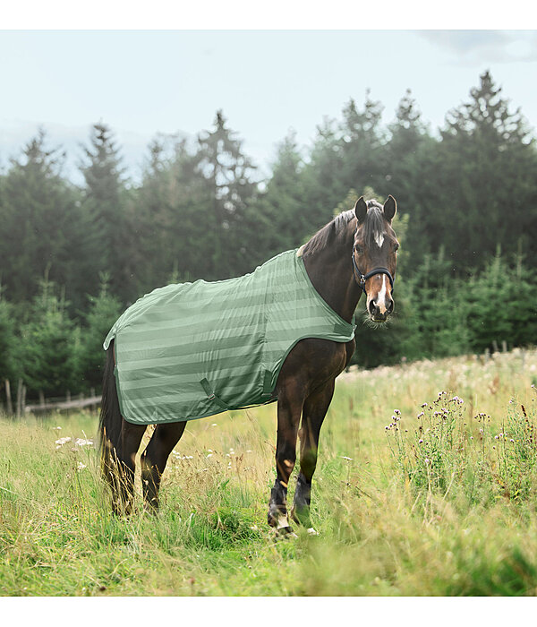 Chemise de marcheur anti-mouches  Economy Light