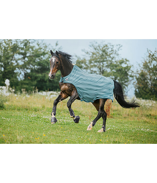 Chemise de marcheur anti-mouches  Economy Light