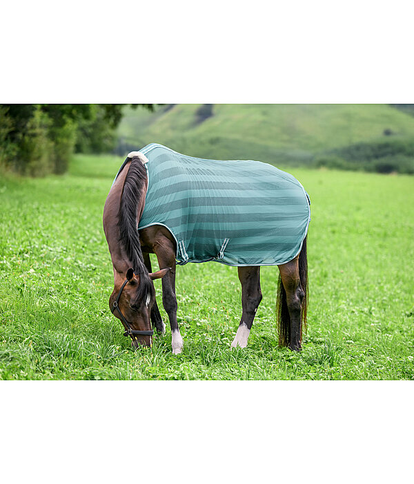 Chemise de marcheur anti-mouches  Economy Light