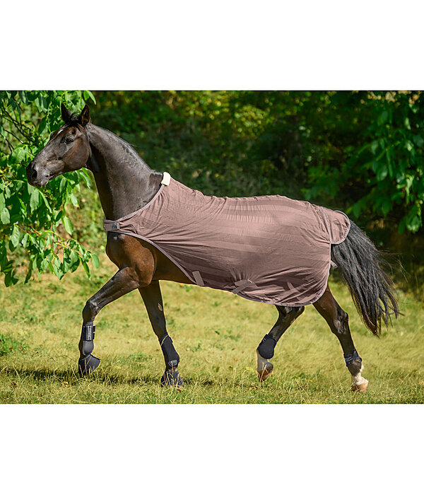 Chemise de marcheur anti-mouches  Economy Light