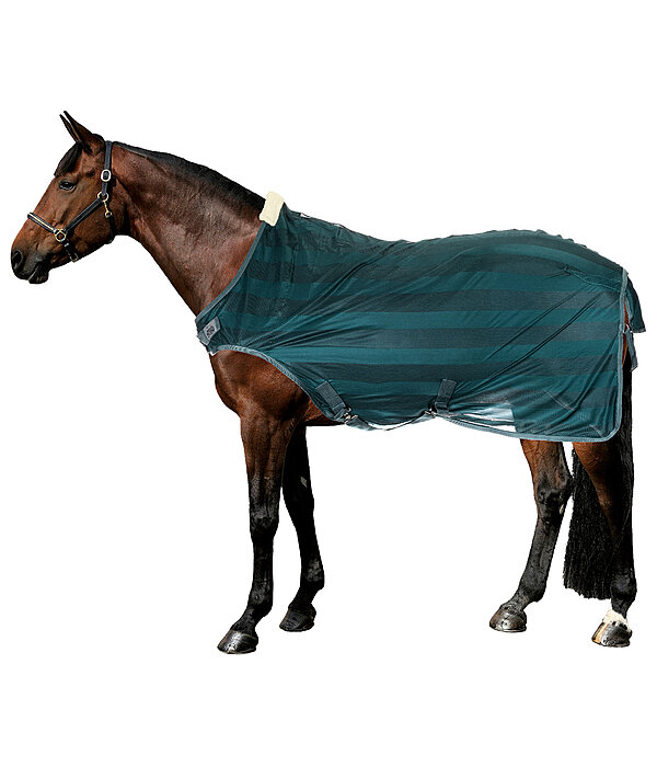 Chemise de marcheur anti-mouches  Economy Light