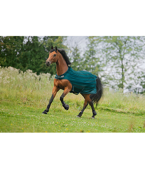 Chemise de marcheur anti-mouches  Economy Light