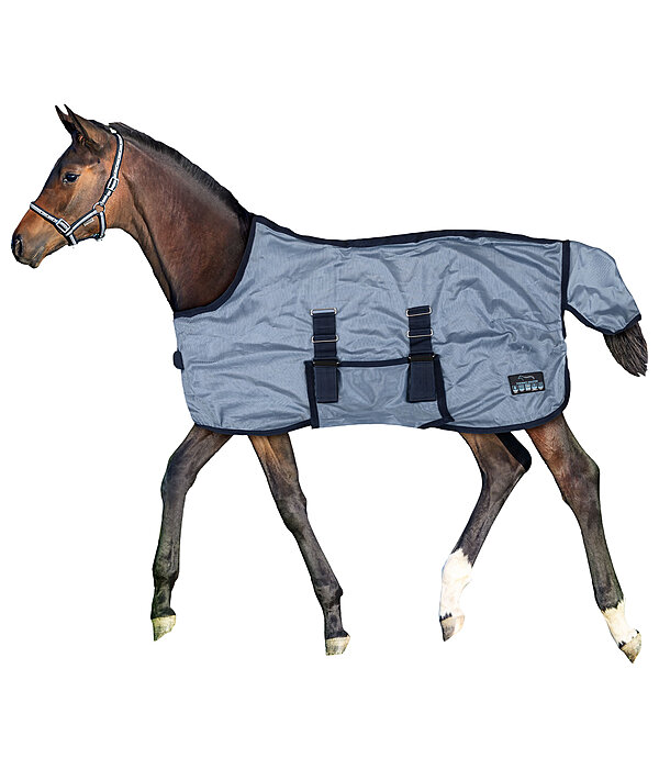 Couverture anti-mouches poulain et mini shetland  Kubi Fly