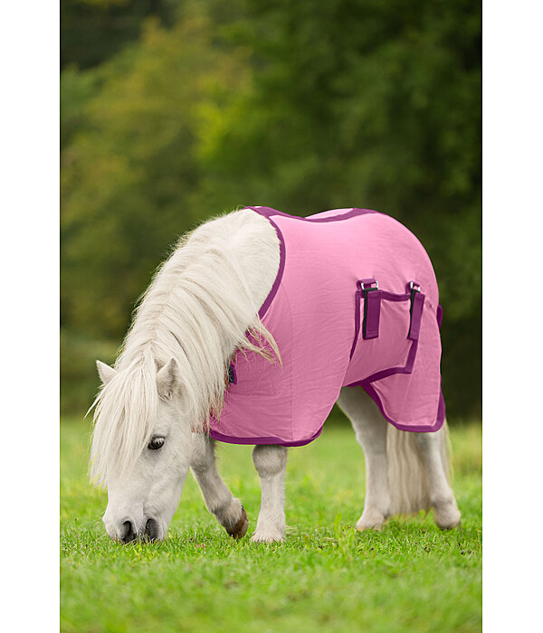 Couverture anti-mouches poulain et mini shetland  Kubi Fly