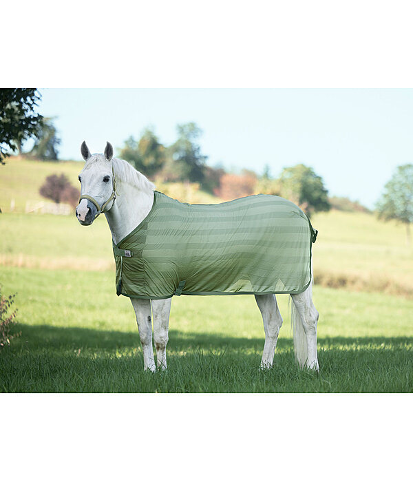 Chemise anti-mouches  Economy Light