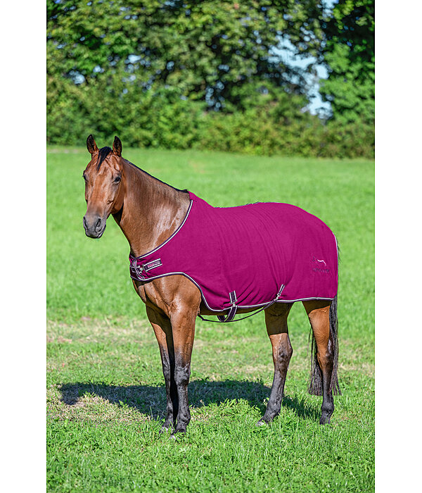 Chemise de marcheur en polaire  Activity