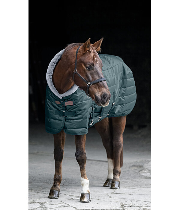 Chemise d'curie  Stay Cosy