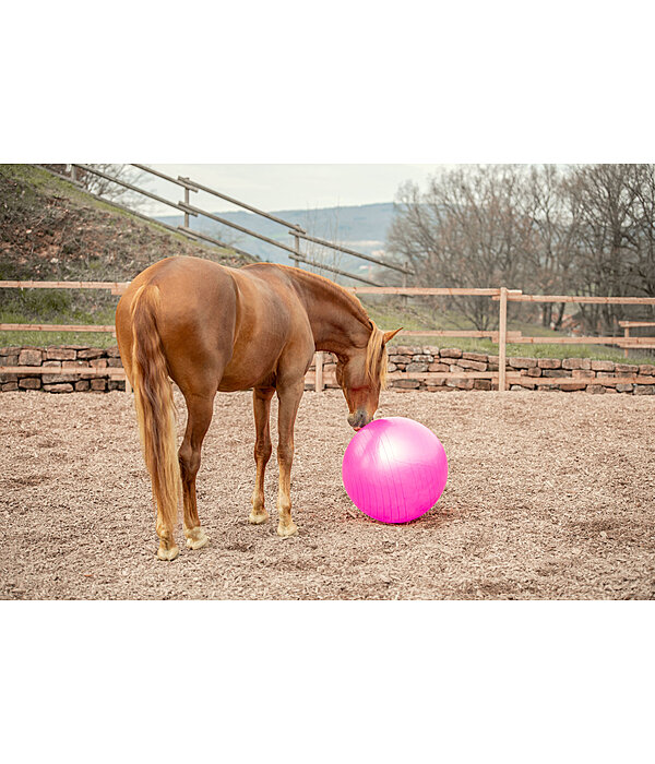 Grosse balle de jeu pour chevaux