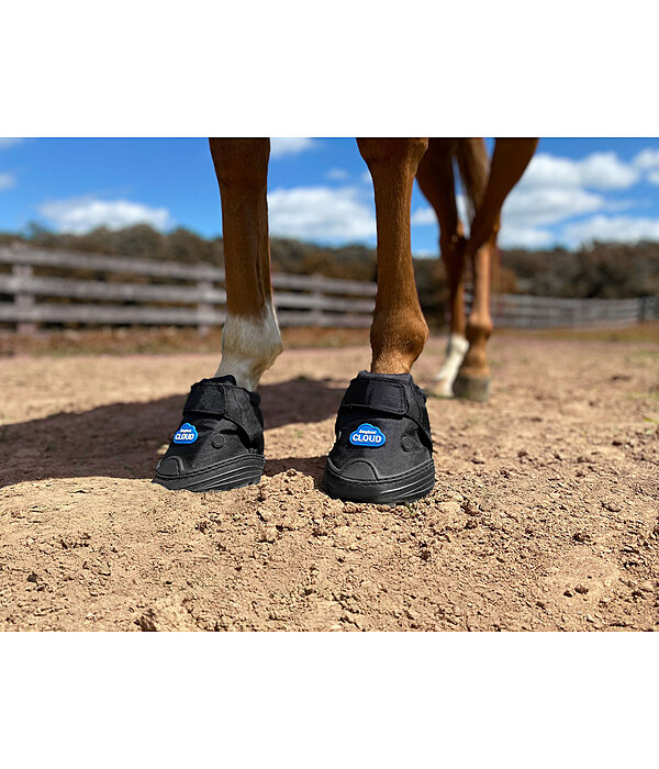 Hipposandale vtrinaire Easycare Easyboot Cloud