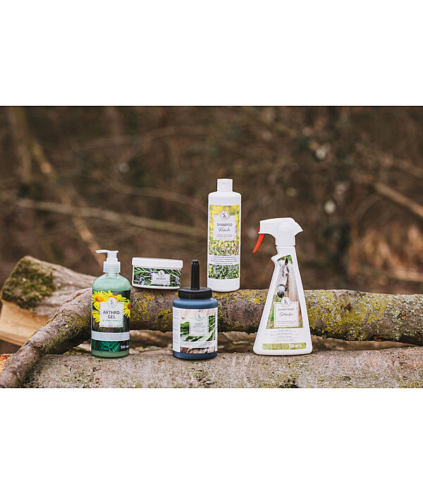 Shampoing aux herbes