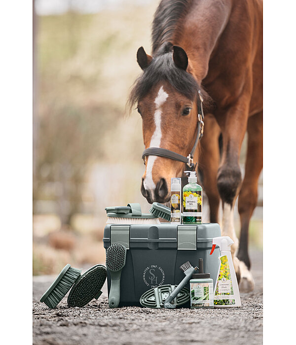 Cure-pied  Horse