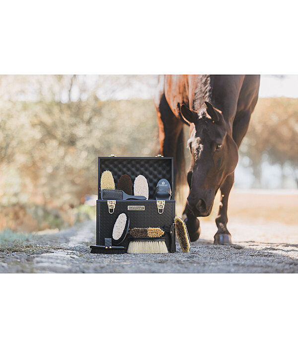 Coffre de pansage  Alu Case Classic Line