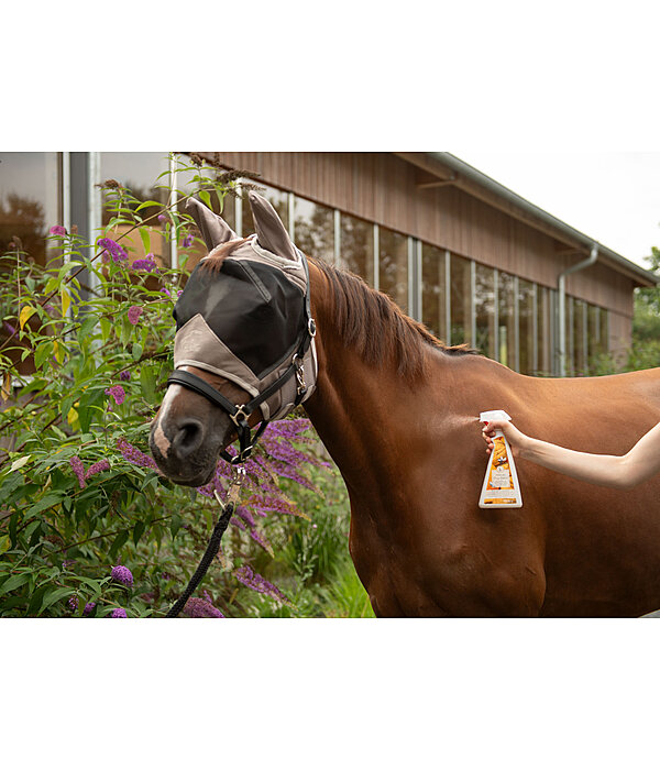 Do pour chevaux  Orange Noix