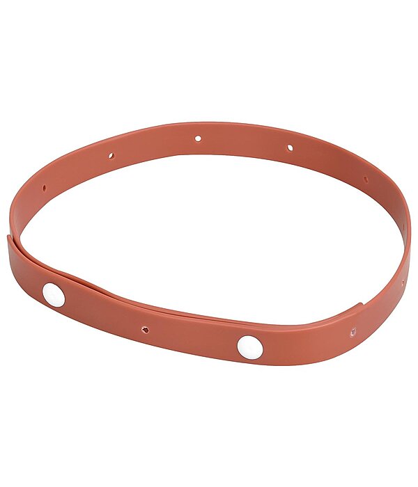 Collier anti-parasites pour cheval