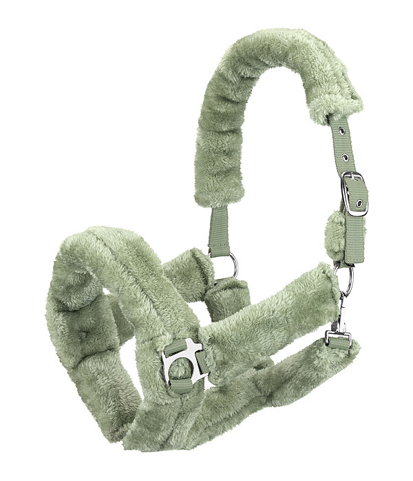 Licol en polaire Teddy  Protection
