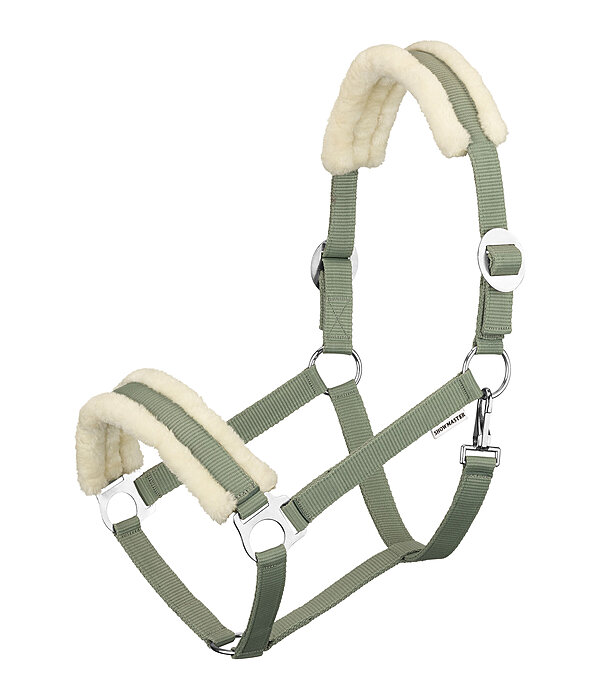 Licol en polaire Teddy  prix cass III