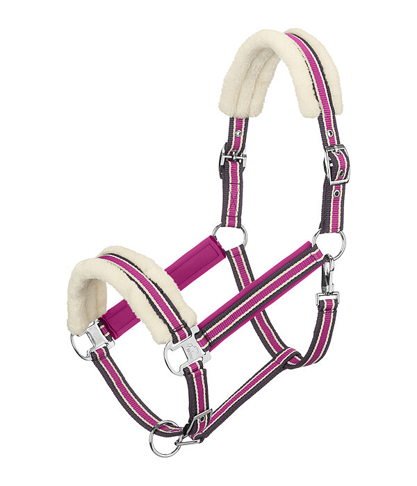 Licol en polaire Teddy  Essential II