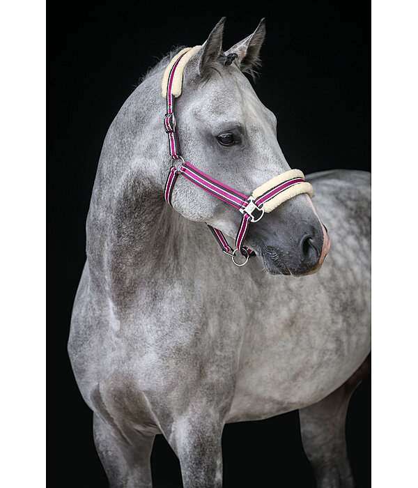 Licol en polaire Teddy  Essential II