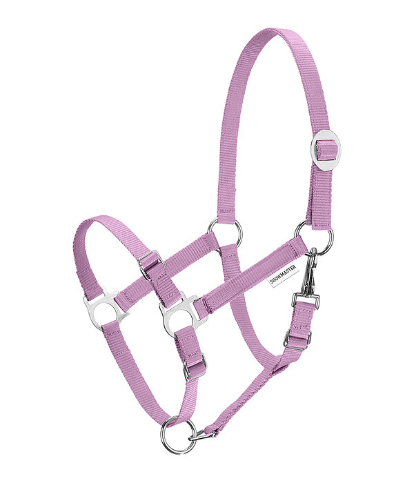 Licol poulain et shetland  Grow With You