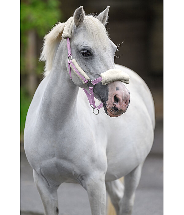 Licol poulain et shetland en polaire Teddy  Cozy Adjustable