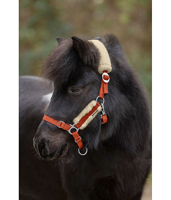 Licol poulain et shetland en polaire Teddy  Cozy Adjustable