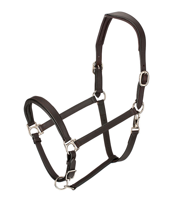 Licol en cuir  Anatomical