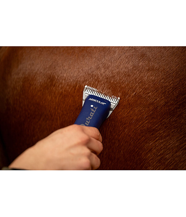 Tondeuse  Durati Horse