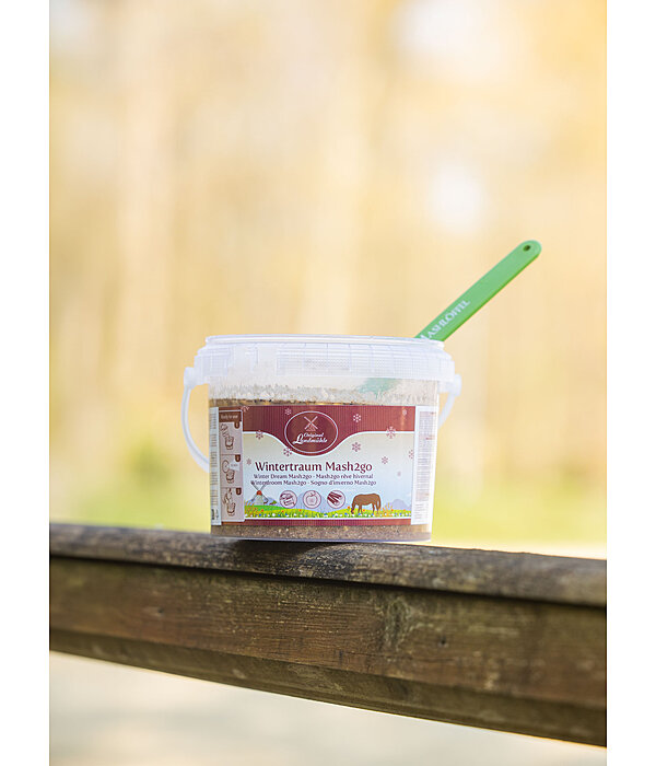 Mash2go  R�ve hivernal