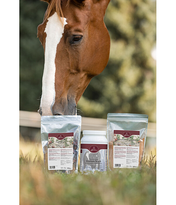 Poudre Immunit  ImmunStark