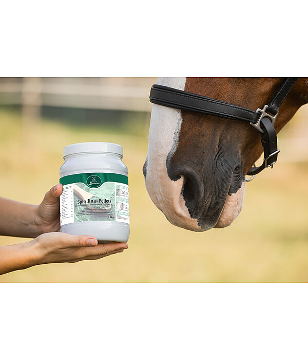Granuls de spiruline