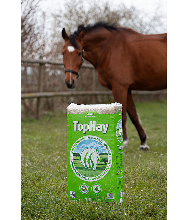 Foin  TopHay