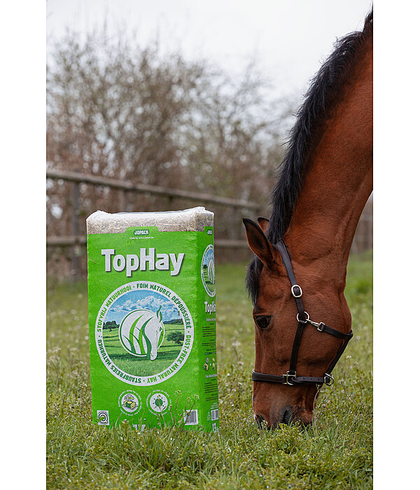 Foin  TopHay